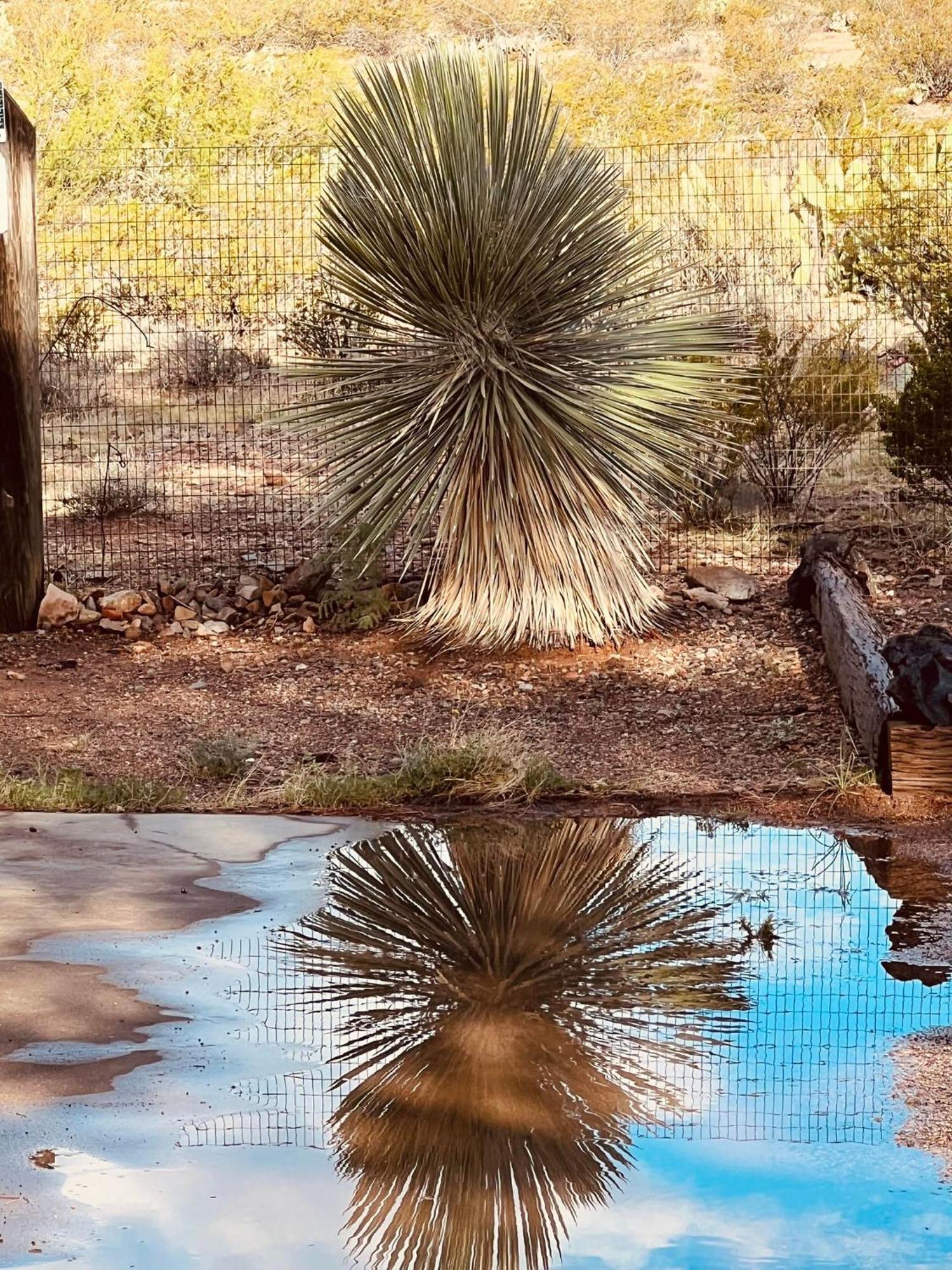 Hole In The Wall Getaway - Usa Mexico Border Bed And Breakfast Columbus Eksteriør bilde